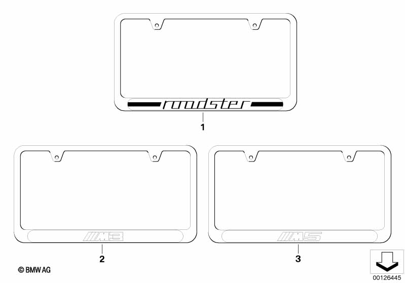 Stainless Steel License Plate Frame