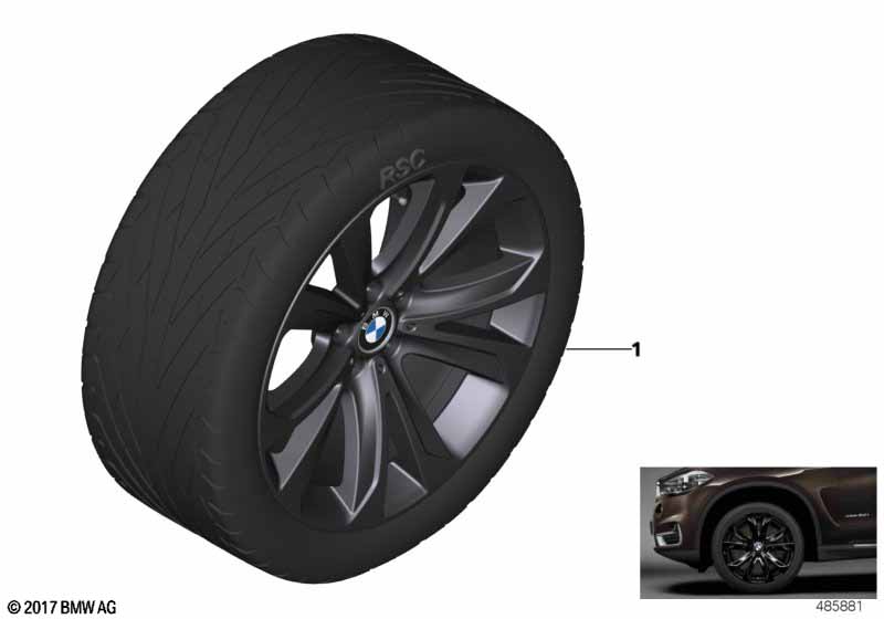 BMW LM-velg sterspaak 491 - 20''