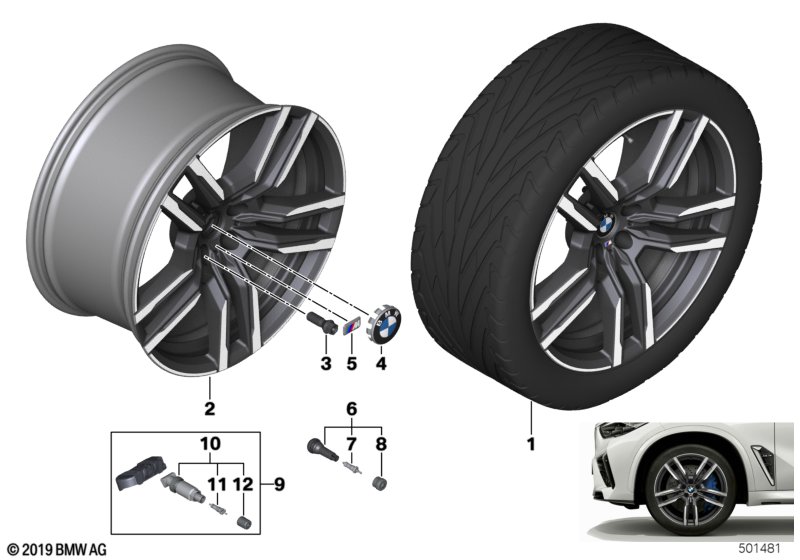 BMW LM-velg dubbele spaak 808M - 21"