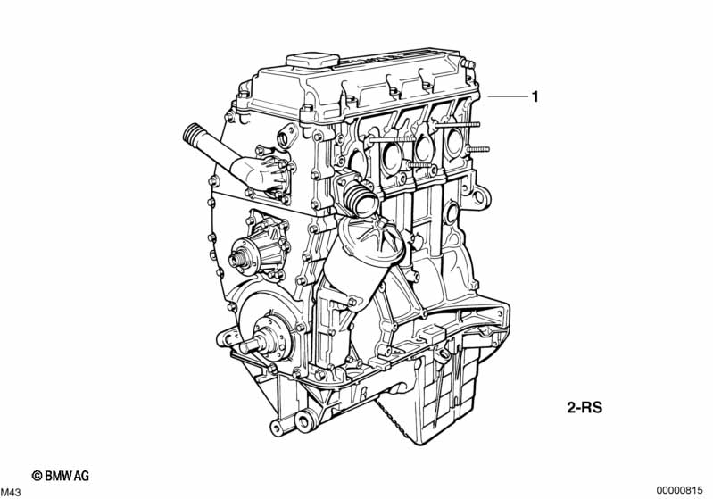 Motor